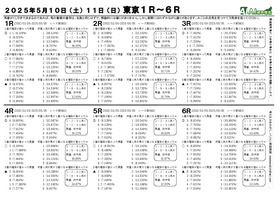電子版