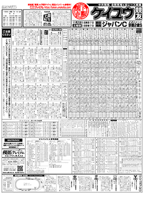 電子版