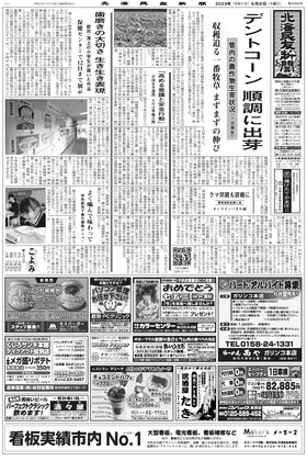 表紙画像