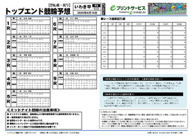 電子版